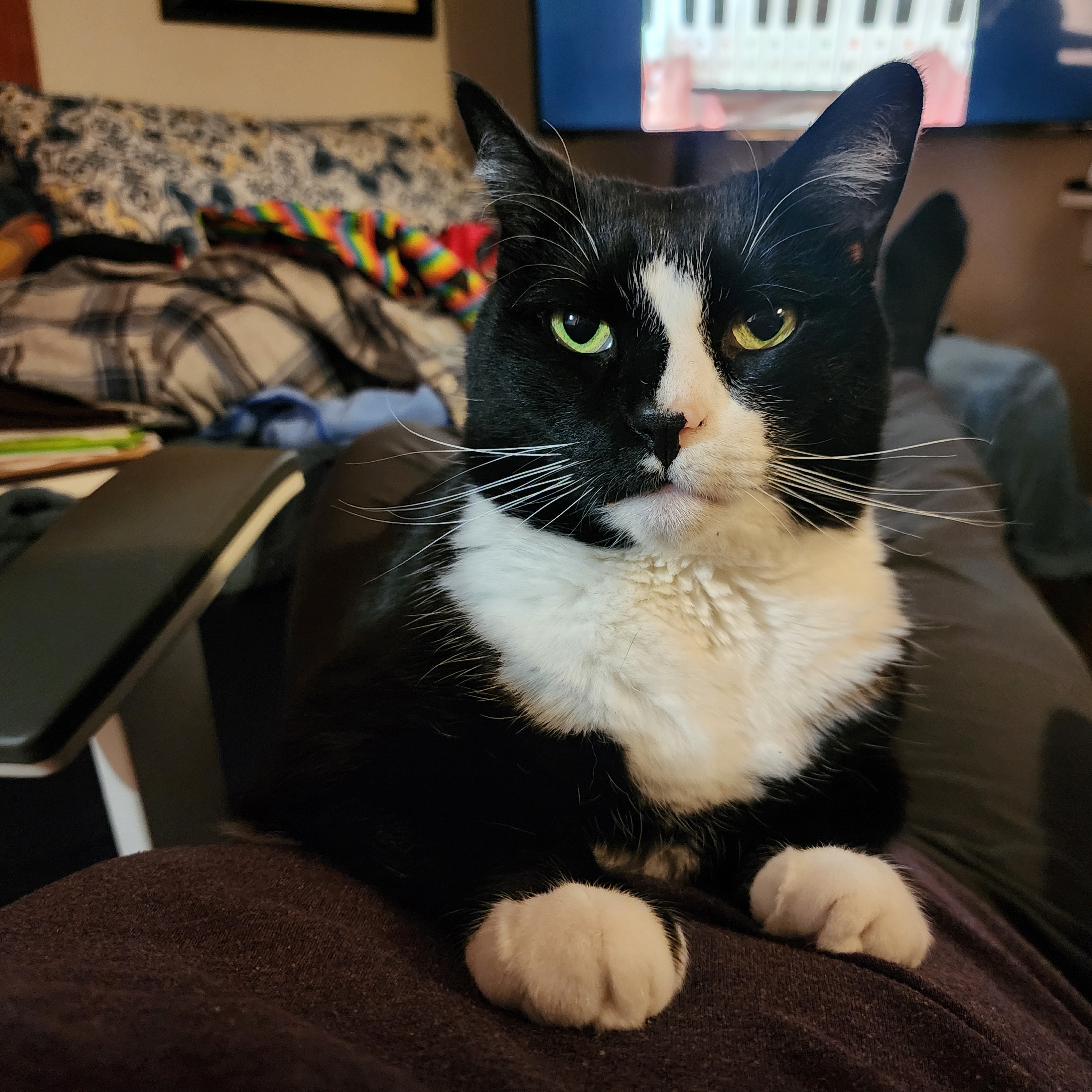 Look at my little man Carl